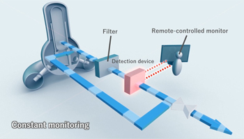 Preventing Recriticality in Fuel Debris at Fukushima Daiichi Nuclear Power Station