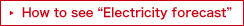 How to see Electricity forecast