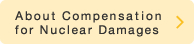 About Compensation for Nuclear Damages