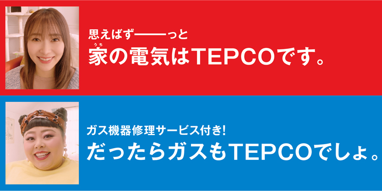 TEPCOで電気ガズをまとめるとガス代12ヶ月約8%OFF!