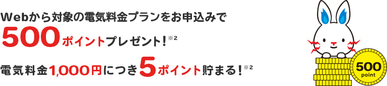 Webからのお申込みで500ポイントプレゼント！※1電気料金1,000円につき5ポイント貯まる！※2