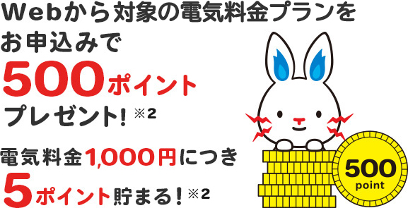 Webからのお申込みで500ポイントプレゼント！※1電気料金1,000円につき5ポイント貯まる！※2