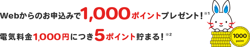 Webからのお申し込みで1000ポイントプレゼント!