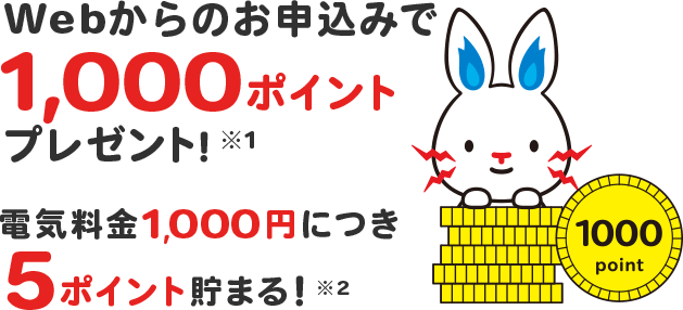 Webからのお申し込みで1000ポイントプレゼント!