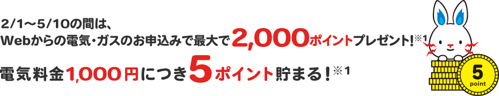 2/1~5/10の間は、Webからの電気・ガスのお申込みで最大で2,000ポイントプレゼント!