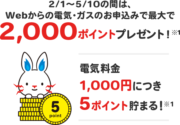 2/1~5/10の間は、Webからの電気・ガスのお申込みで最大で2,000ポイントプレゼント!
