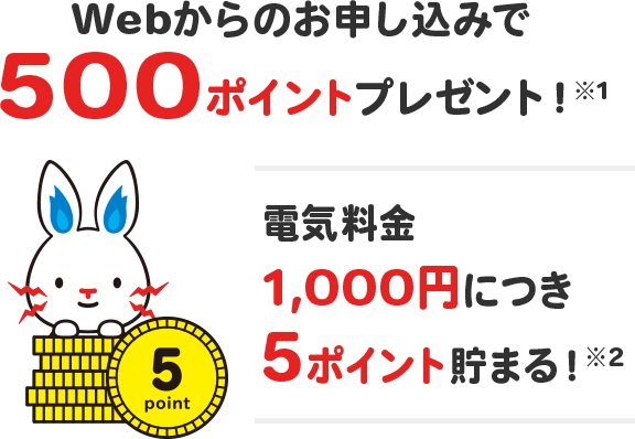 Webからのお申し込みで500ポイントプレゼント!