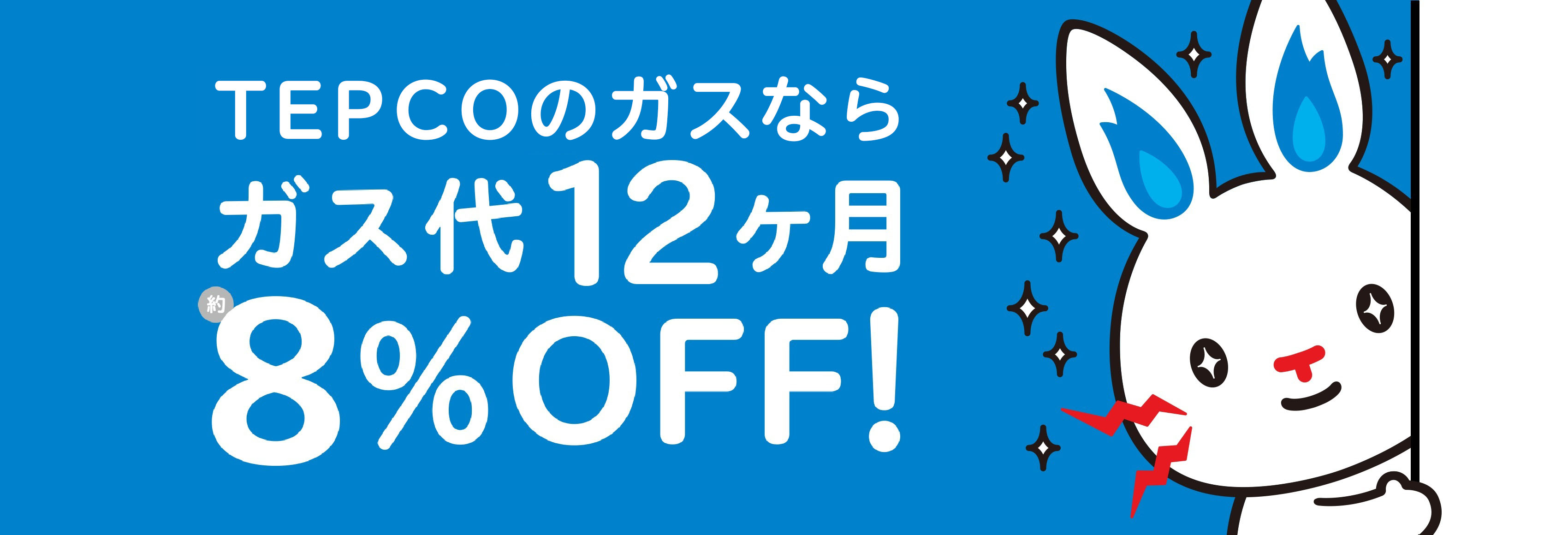 電気+ガス、まとめておとくに。耳よりセット