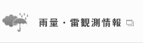 雨量・雷観測情報