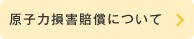 原子力損害賠償について