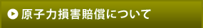 原子力損害賠償について