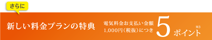 さらに新しい料金プランの特典　電気料金お支払い金額1,000円（税抜）につき5ポイント