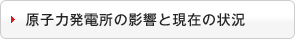 原子力発電所の影響と現在の状況