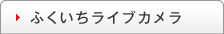 ふくいちライブカメラ