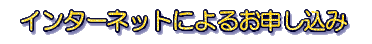 �C���^�[�l�b�g�ɂ�邨�\������
