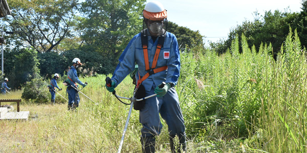 福島復興への責任 福島への責任を果たすのイメージ写真
