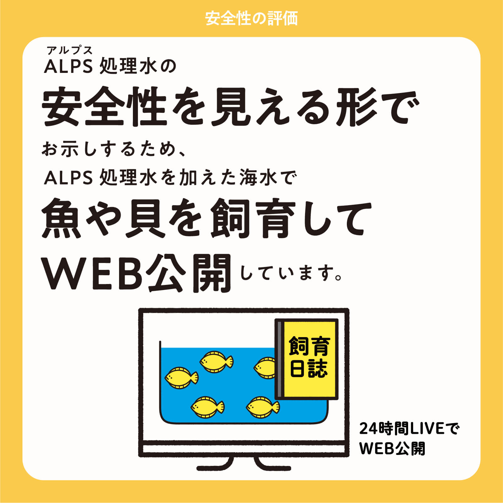 ALPS処理水の安全性を見える形でお示しするため、ALPS処理水を加えた海水で魚や貝を飼育してWEB公開しています。