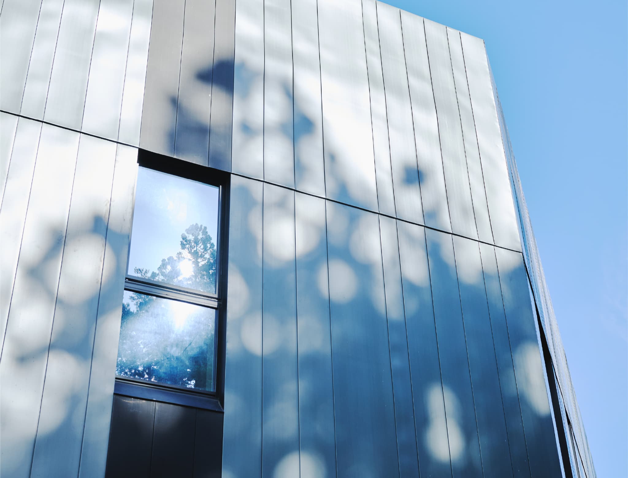 コンクリートと木材の内装、観葉植物のあるエントランスホール