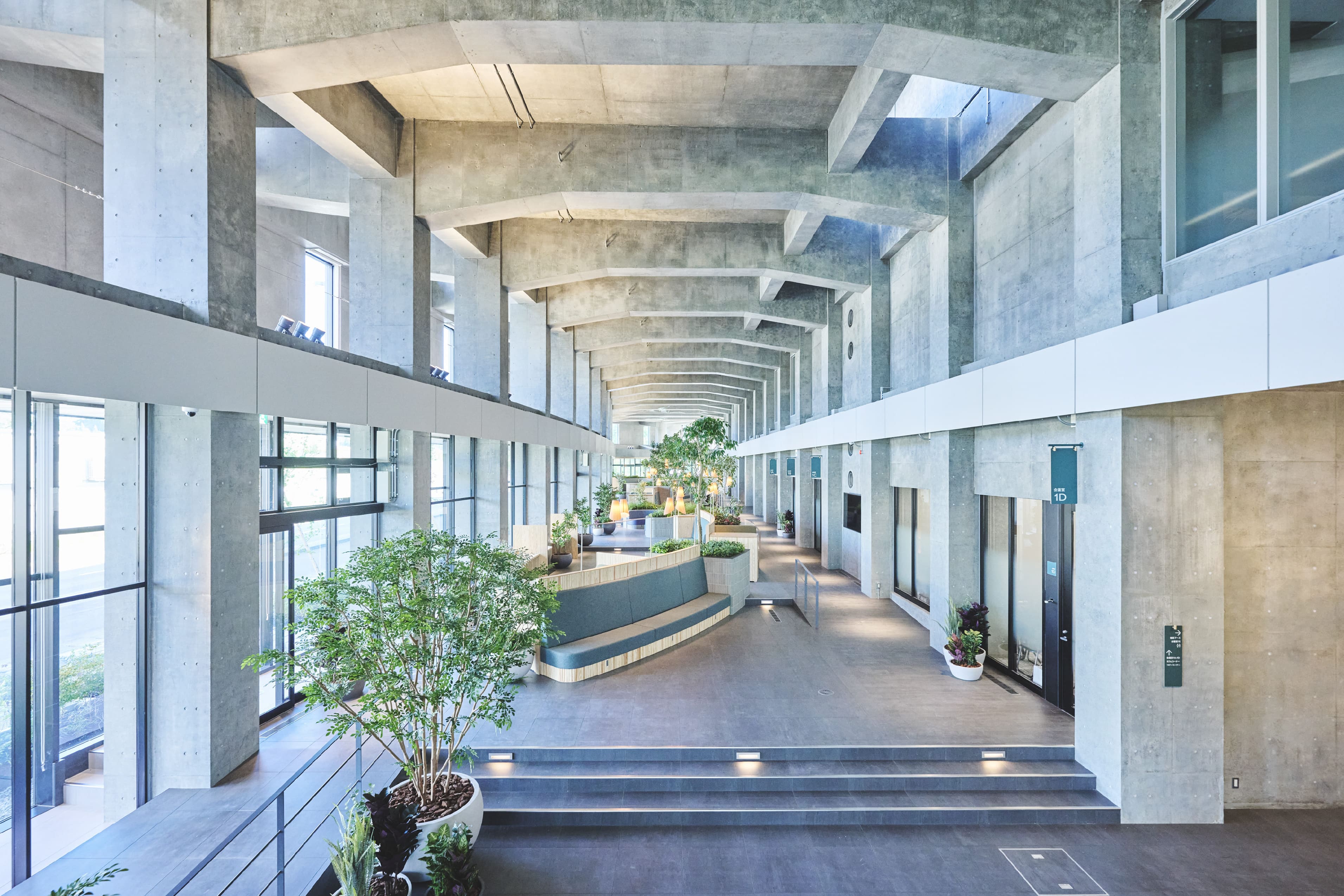 コンクリートと木材の内装、観葉植物のあるエントランスホール