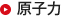 原子力