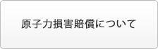 原子力損害賠償について