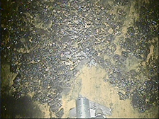 2017.2.9 2号機　原子炉格納容器内部調査における堆積物除去作業の実施結果