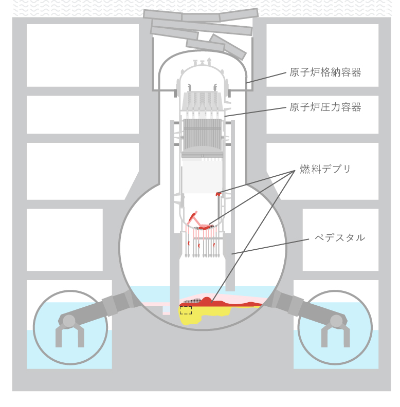 格納容器内部調査