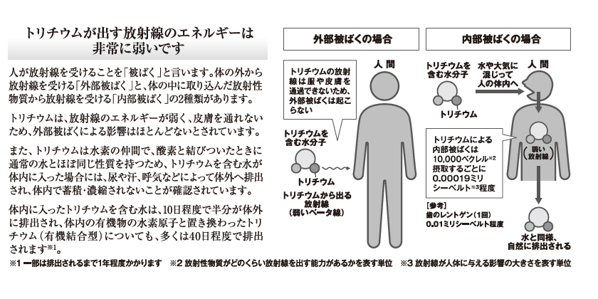 ALPS処理水に含まれるトリチウムとは②