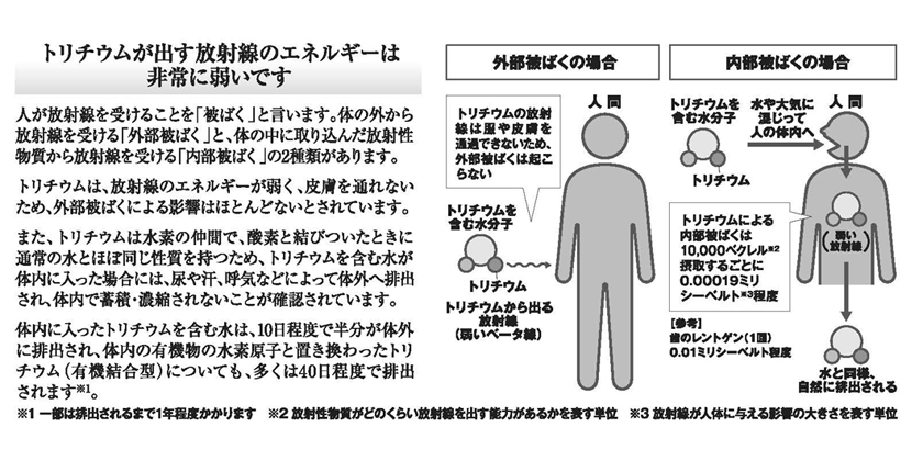 ALPS処理水に含まれるトリチウムとは②