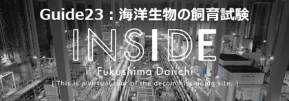 INSIDE FUKUSHIMA DAIICHI