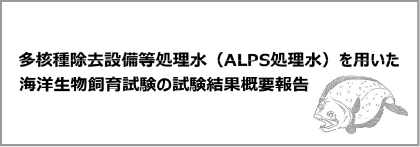 リーフレット