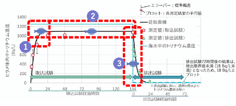 動画の概要