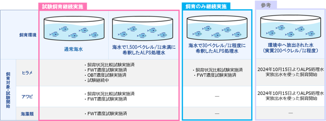 飼育試験の状況