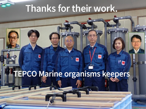 Marine organisms rearing log was terminated.