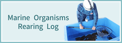 Marine Organisms Rearing Log