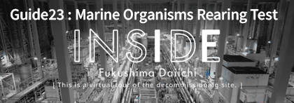 INSIDE FUKUSHIMA DAIICHI