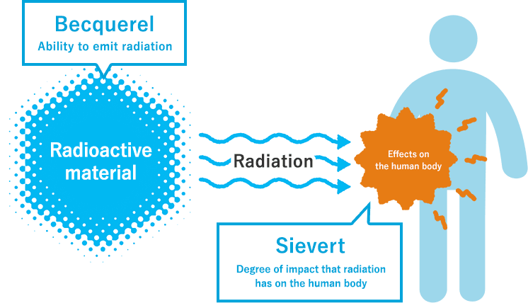 Difference between becquerels (Bq) and sieverts (Sv)?