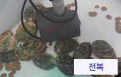 전복
