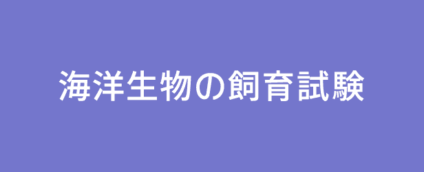 海洋生物の飼育試験