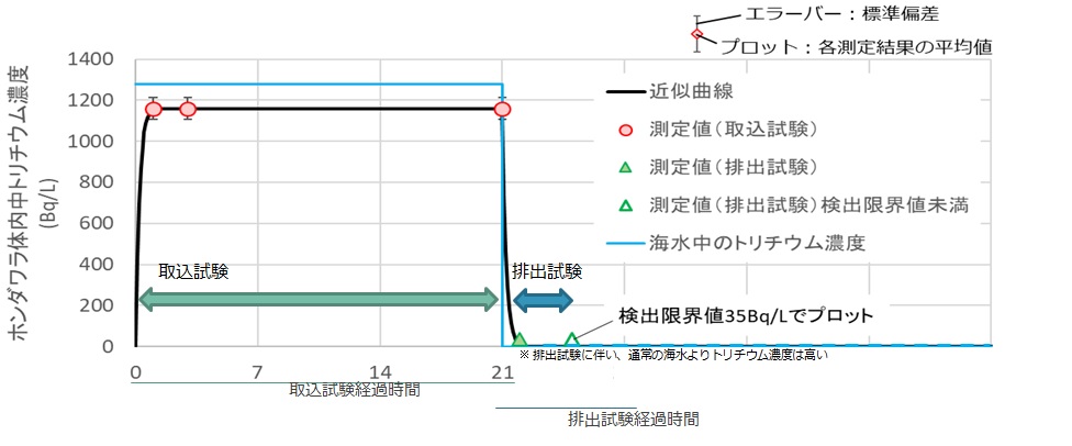 海藻的FWT吸收、排出试验结果于