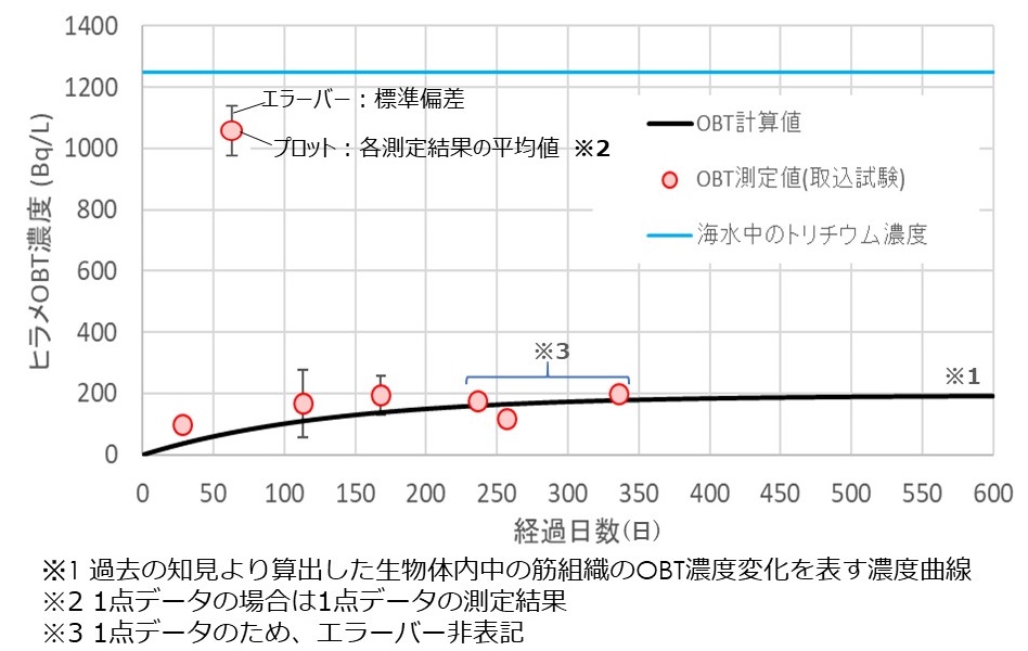 比目鱼肌肉中氚（有机结合氚[下称OBT]）的吸收试验结果