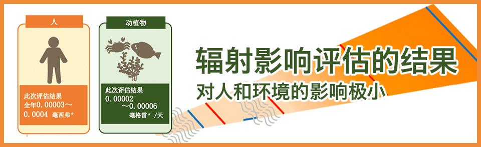 辐射影响评估的结果 对人和环境的影响极小