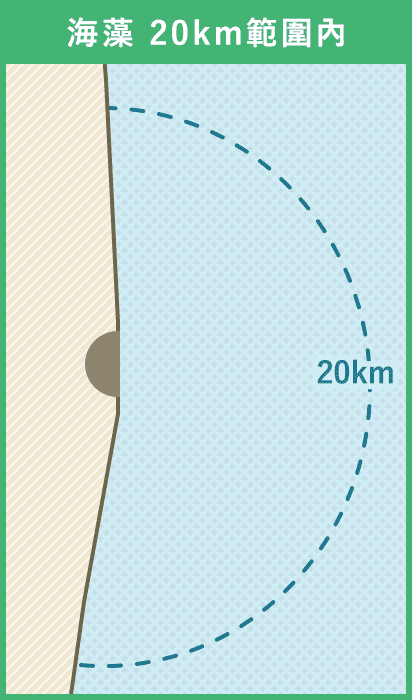 海藻 20km範圍內