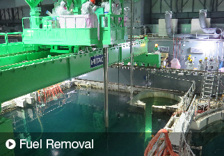 Fuel Removal