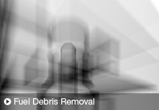 Fuel Debris Removal