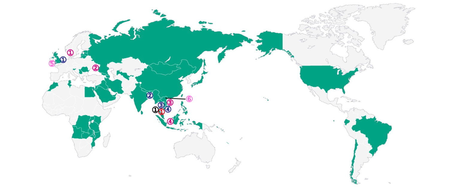 Corporate Strategy Overseas Business Expansion