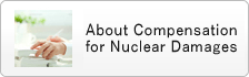 About Compensation for Nuclear Damages