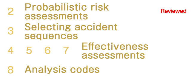 Probabilistic risk assessments