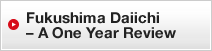 Fukushima Daiichi - A One Year Review