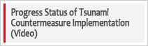 Progress Status of Tsunami Countermeasure Implementation (Video)
